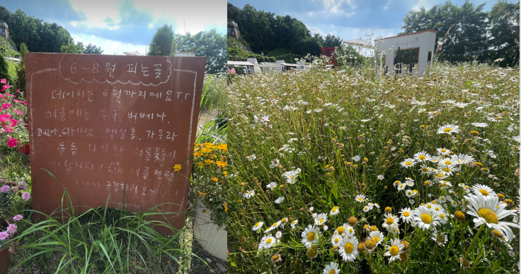 원주가볼만한곳