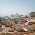 강남3구 아파트값 6주째 하락, 서울 84주 연속 상승의 역설 - 무주택자 체크포인트