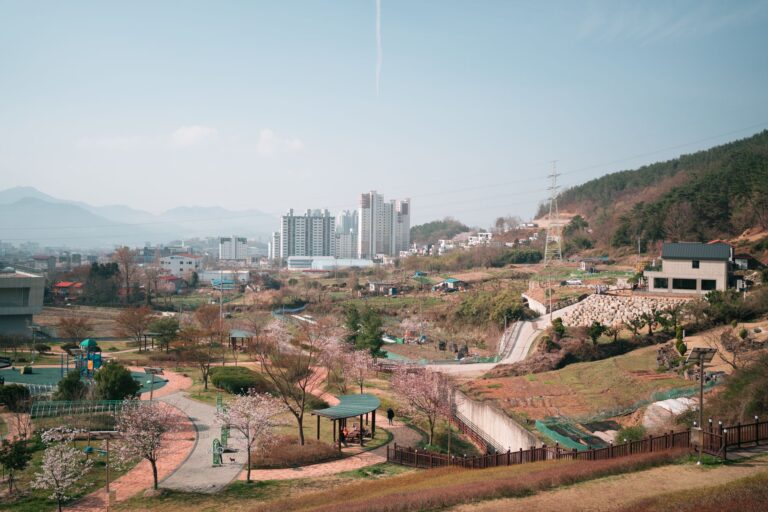 강남3구 아파트값 6주째 하락, 서울 84주 연속 상승의 역설 - 무주택자 체크포인트